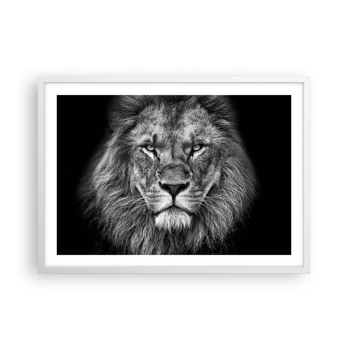 Affisch i vit ram - I kröningskläder - 70x50 cm