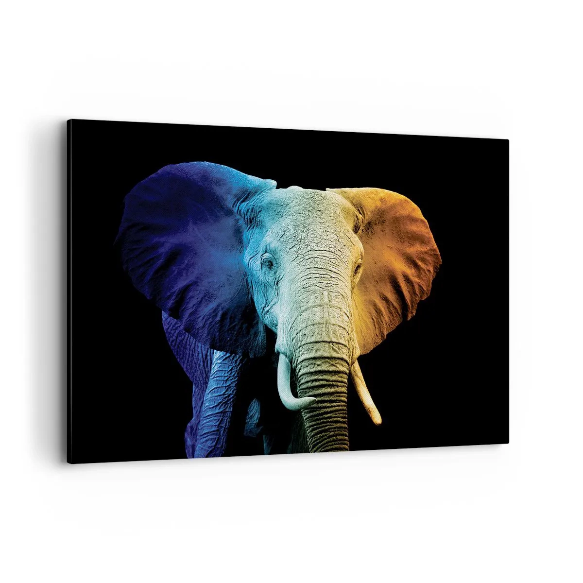 Canvastavla - Bild på duk - Excentriker, ej kuf - 100x70 cm