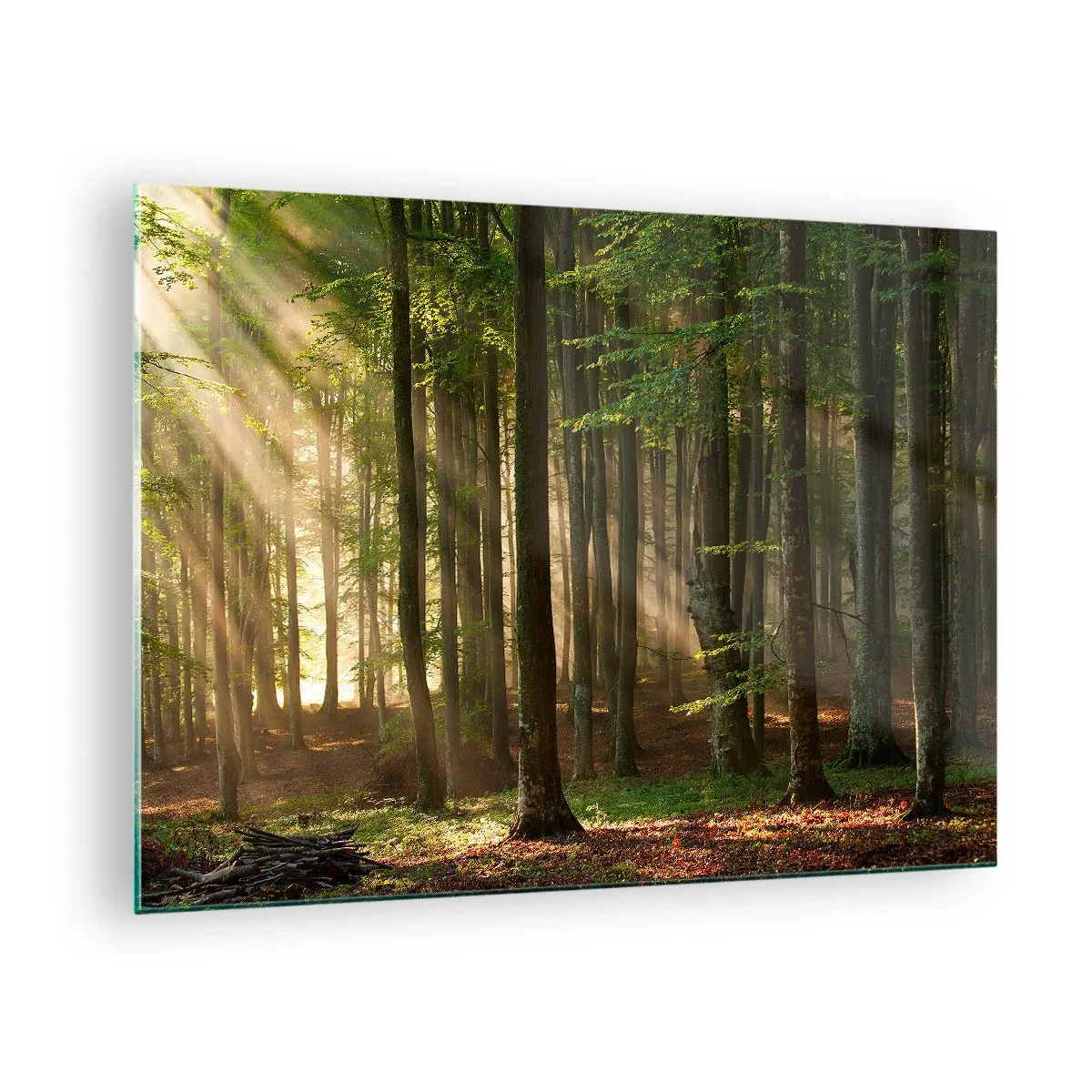Glastavla - Bild på glas - Solstrålar som lyser genom träden i skogen - 70x50cm - Utstrålande på en vårmorgon - Modern väggdekoration för vardagsrum och sovrum ARTTOR