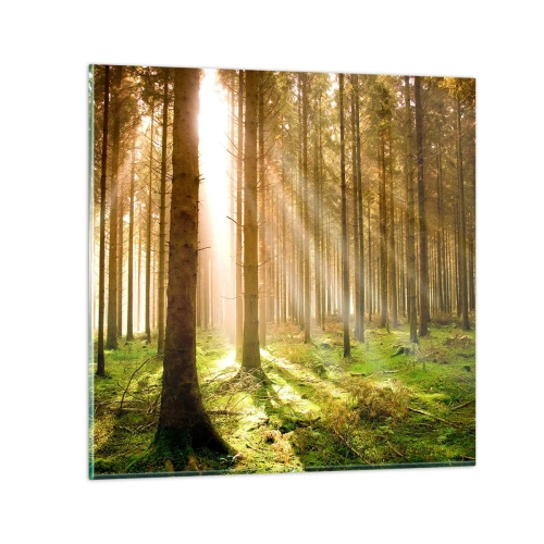 Glastavla - Bild på glas - Snart kommer alverna - 60x60 cm
