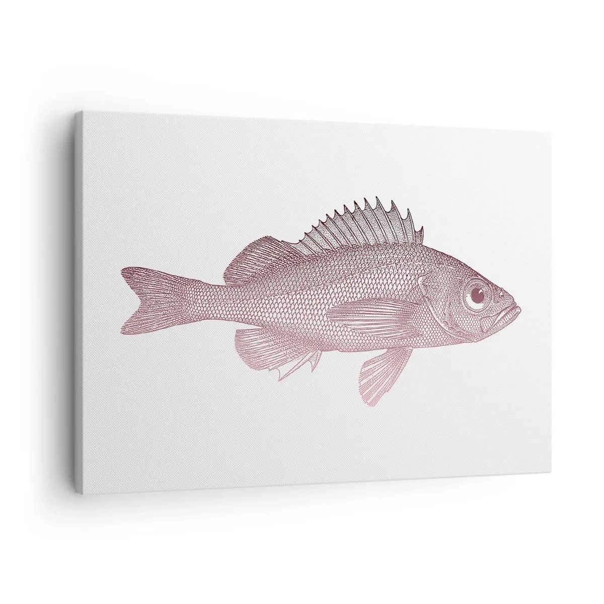 Canvastavla - Bild på duk - Detaljerad illustration av en fisk på vit bakgrund - 70x50cm - Storögd fisk - Modern väggdekoration för vardagsrum och sovrum ARTTOR