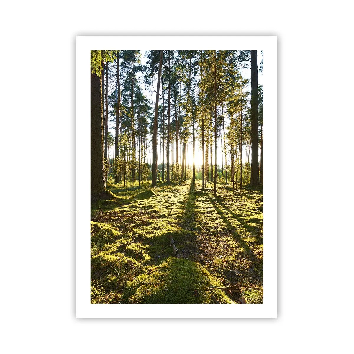 Affisch - ...Bortom sjunde skogen - 50x70 cm