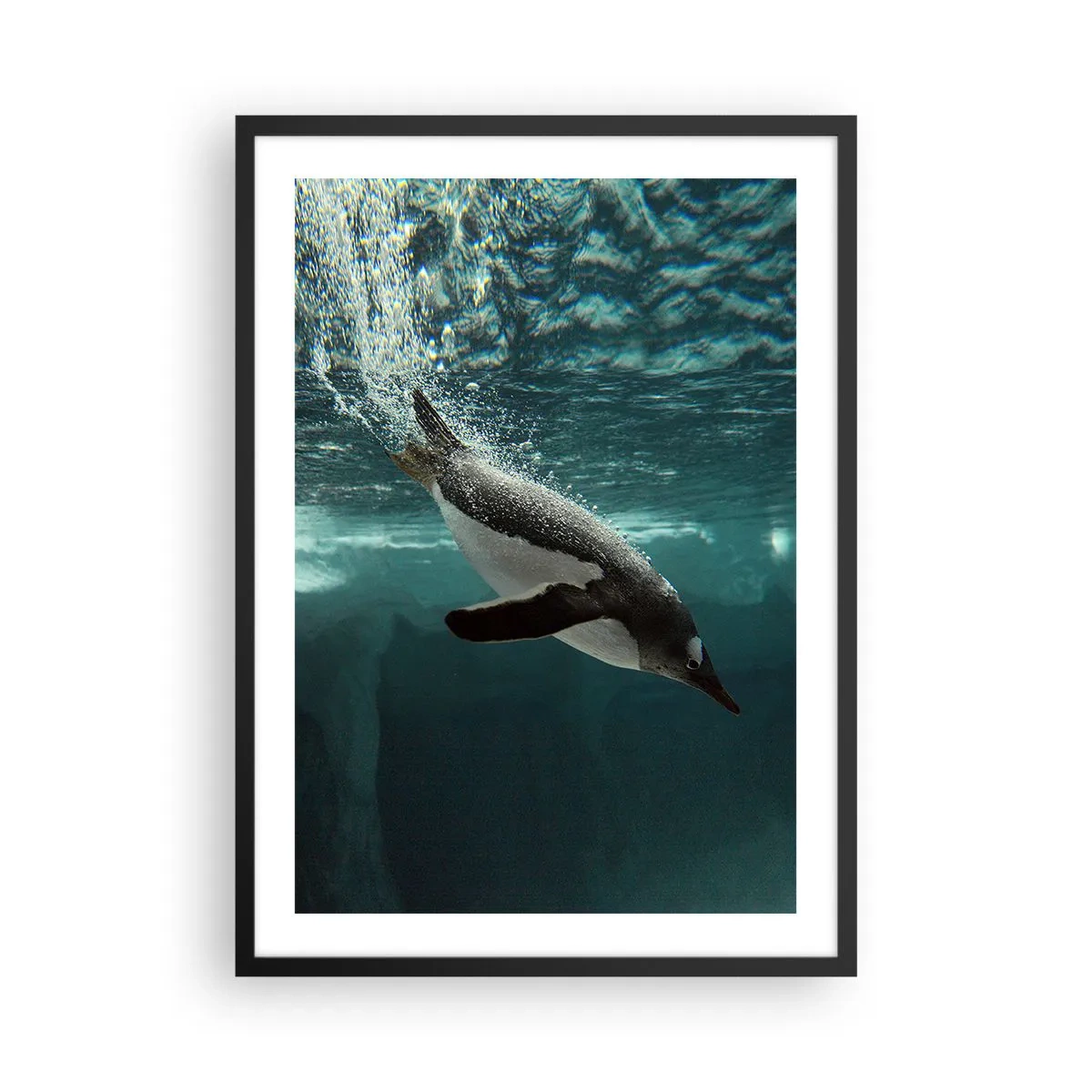 Affisch i svart ram - En pingvin som simmar under vattnet - 50x70cm - Välkommen till min värld - Modern väggdekoration för vardagsrum och sovrum ARTTOR