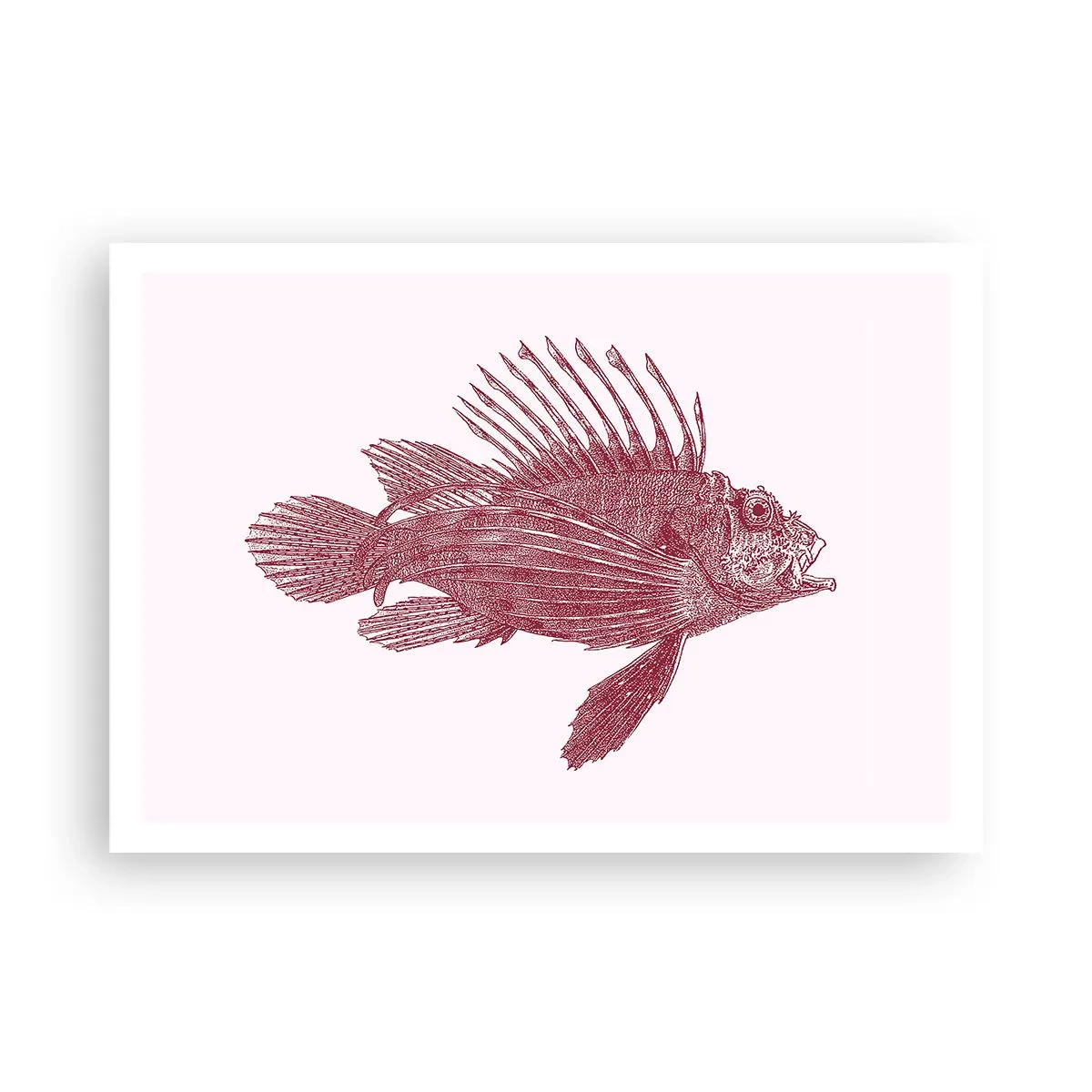 Affisch - En invånare i exotiska vatten - 100x70 cm