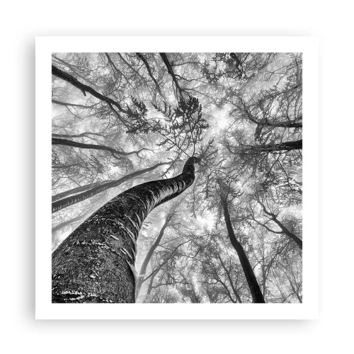 Affisch - Kapplöpning mot ljuset - 60x60 cm