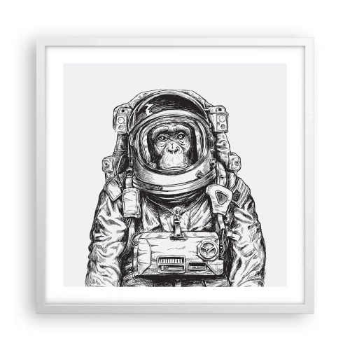 Affisch i vit ram - Alternativ evolution - 50x50 cm