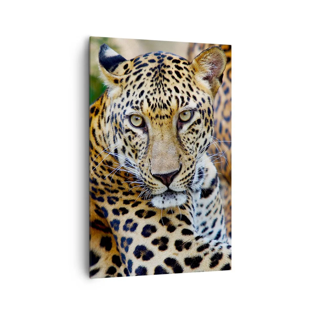 Canvastavla - Bild på duk - Vild och lugn - 80x120 cm