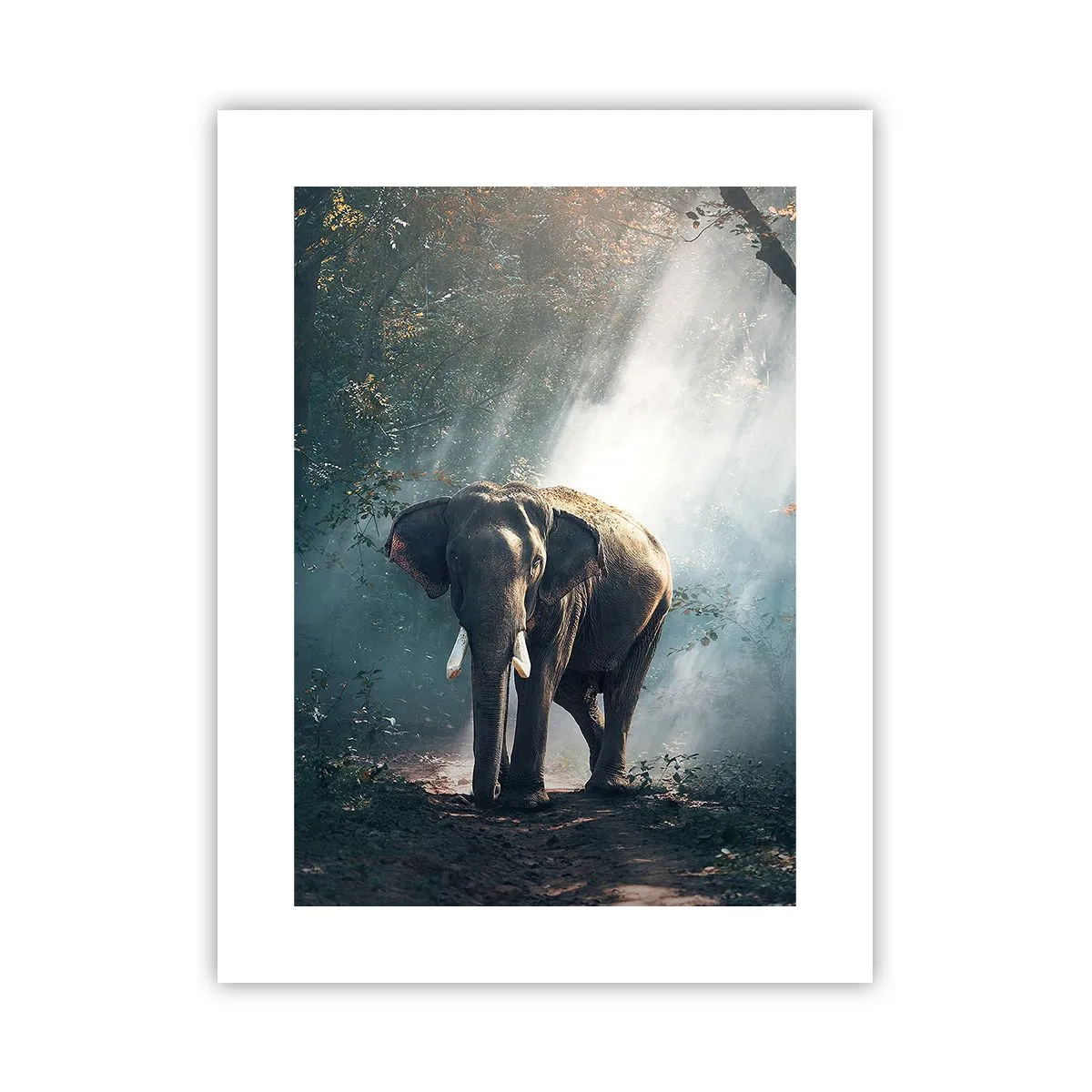 Affisch - Lugn promenad - 30x40 cm