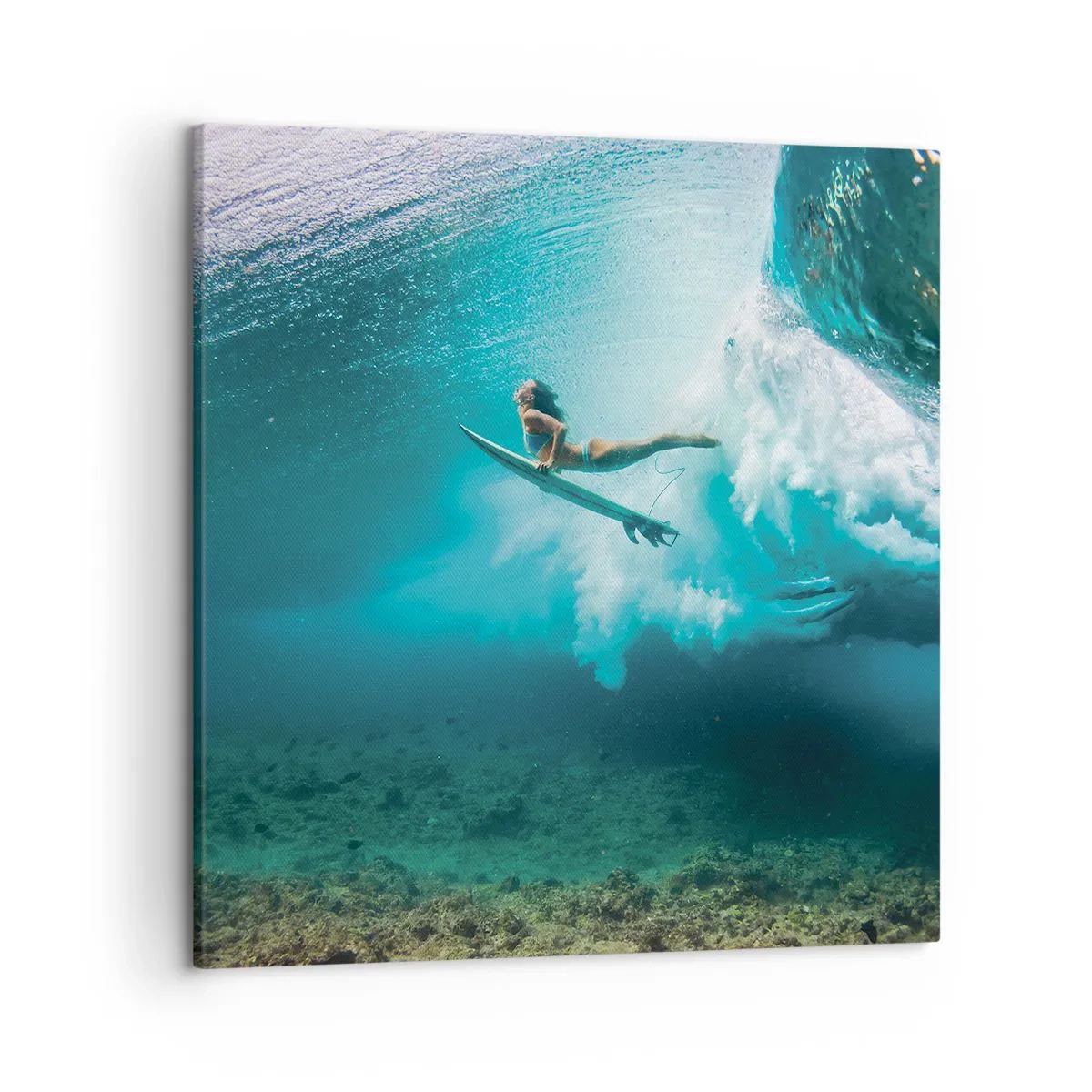 Canvastavla - Bild på duk - Undervattenvärld - 50x50 cm