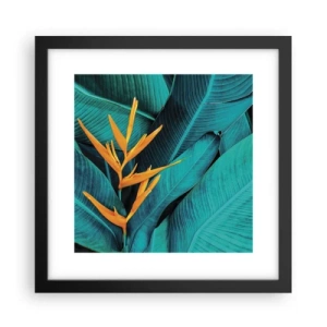 Affisch i svart ram - Edens blomma - 30x30 cm