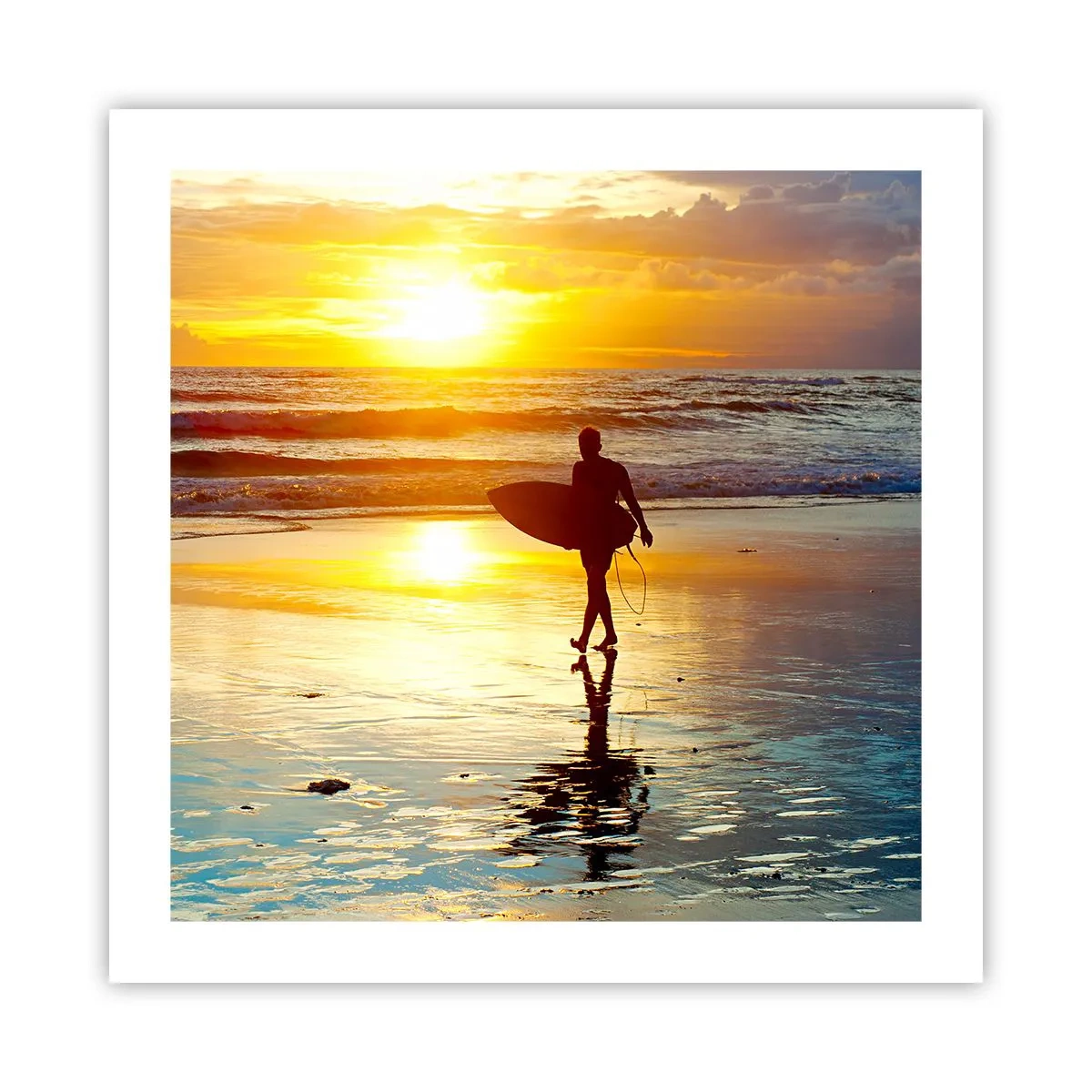 Affisch - Kämpes återkomst - 50x50 cm