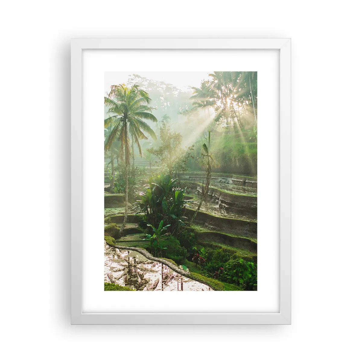 Affisch i vit ram - Växa upp i solsken - 30x40 cm