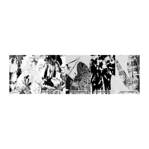 Provbit av fototapet Premium Sand - Höst i negativet - Abstraktion, Blommor, Grafik - 100x30 cm