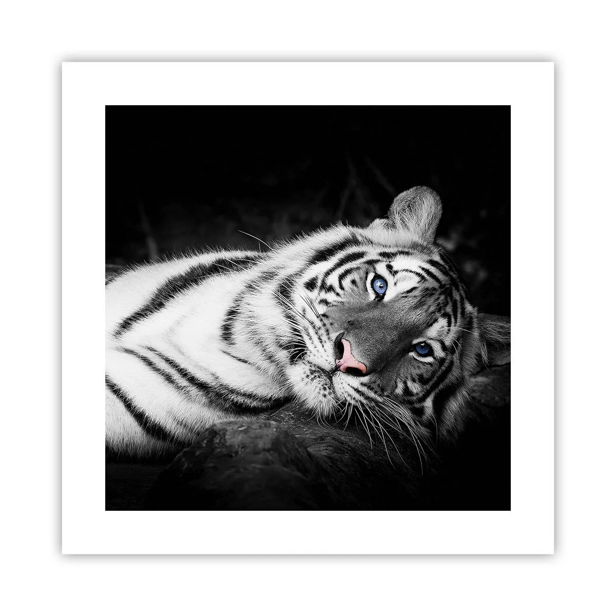 Affisch - Vildhet och lugn - 40x40 cm