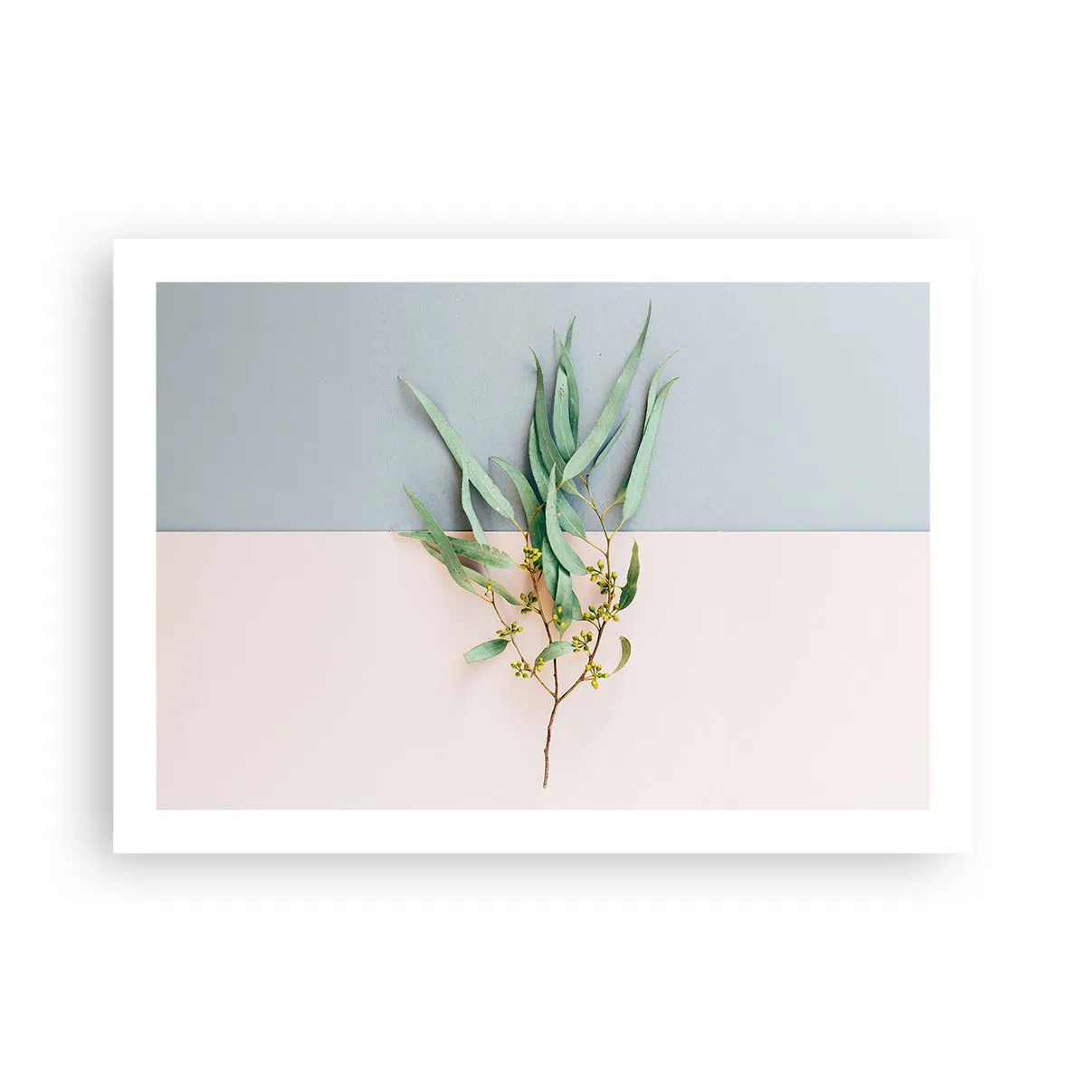 Affisch - Pastellens subtilitet - 70x50 cm