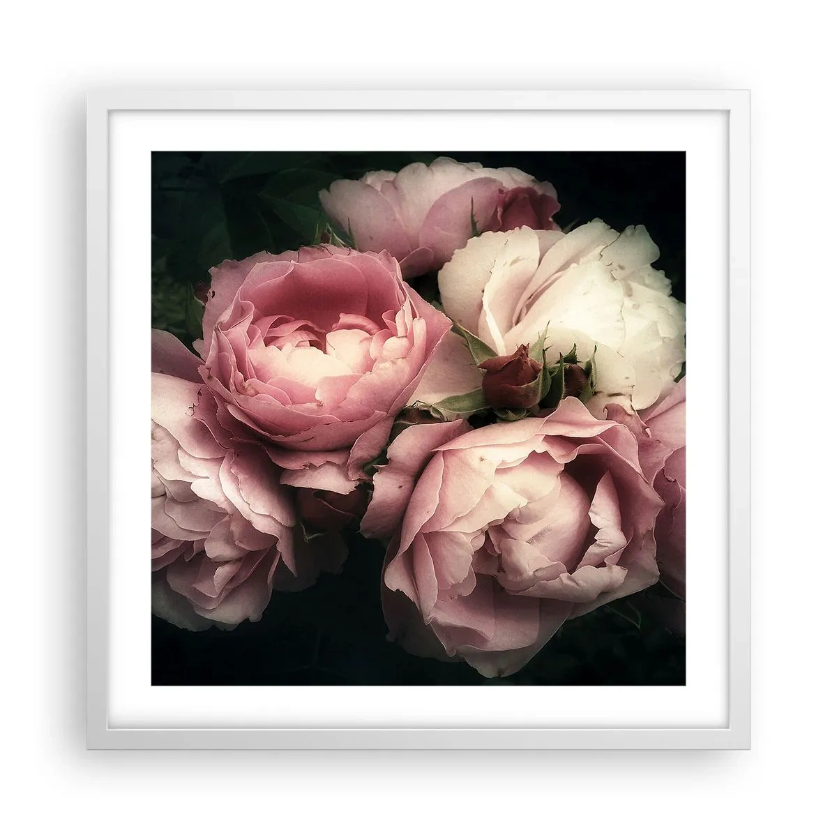 Affisch i vit ram - Belle epoque charm - 50x50 cm