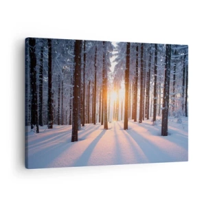 Canvastavla - Bild på duk - Vinterskog upplyst av solens strålar - 70x50cm - Tydligt svart på vitt - Modern väggdekoration för vardagsrum och sovrum ARTTOR