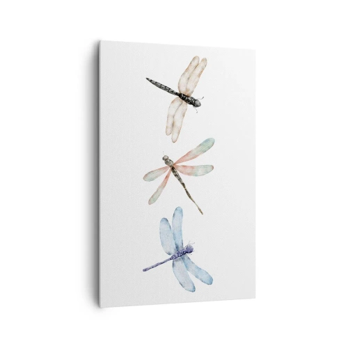Canvastavla - Bild på duk - Viktlösa trollsländor - 80x120 cm