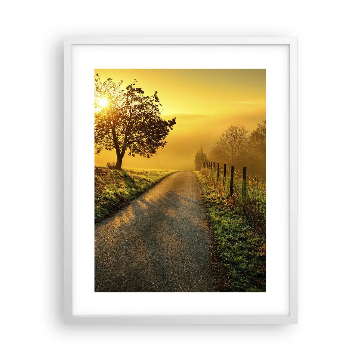 Affisch i vit ram - Honungfärgad eftermiddag - 40x50 cm