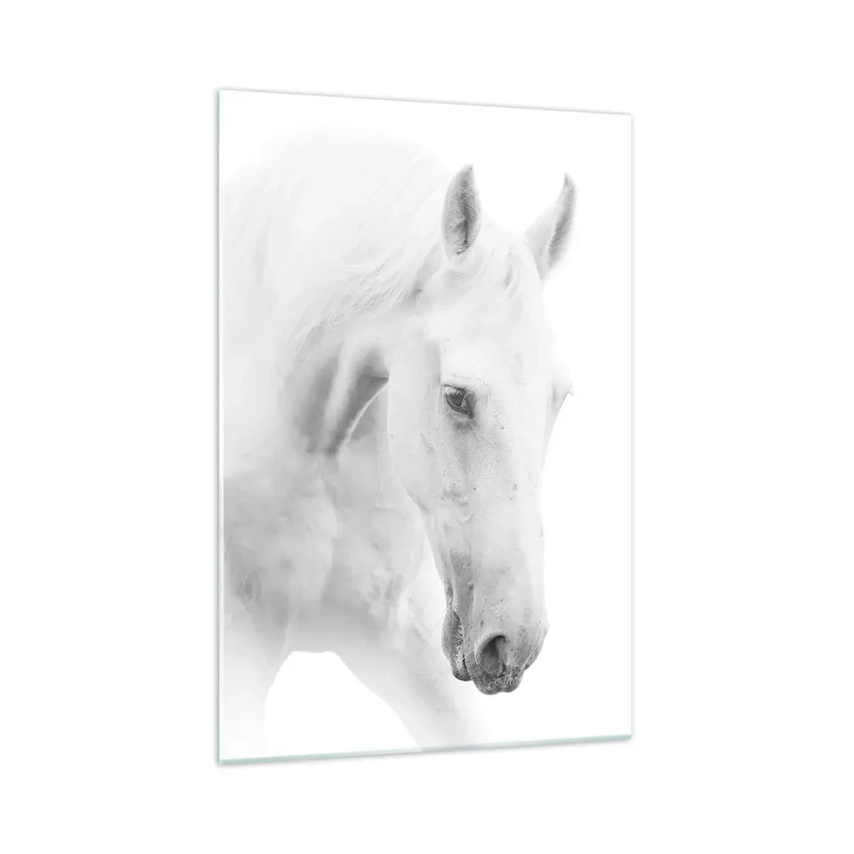 Glastavla - Bild på glas - Är det vänskap…? - 70x100 cm