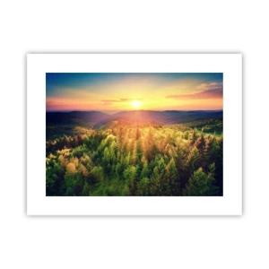 Affisch - Trädtoppar och bergstoppar - 40x30 cm