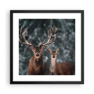 Affisch i svart ram - Skogens herre med hustrun - 40x40 cm