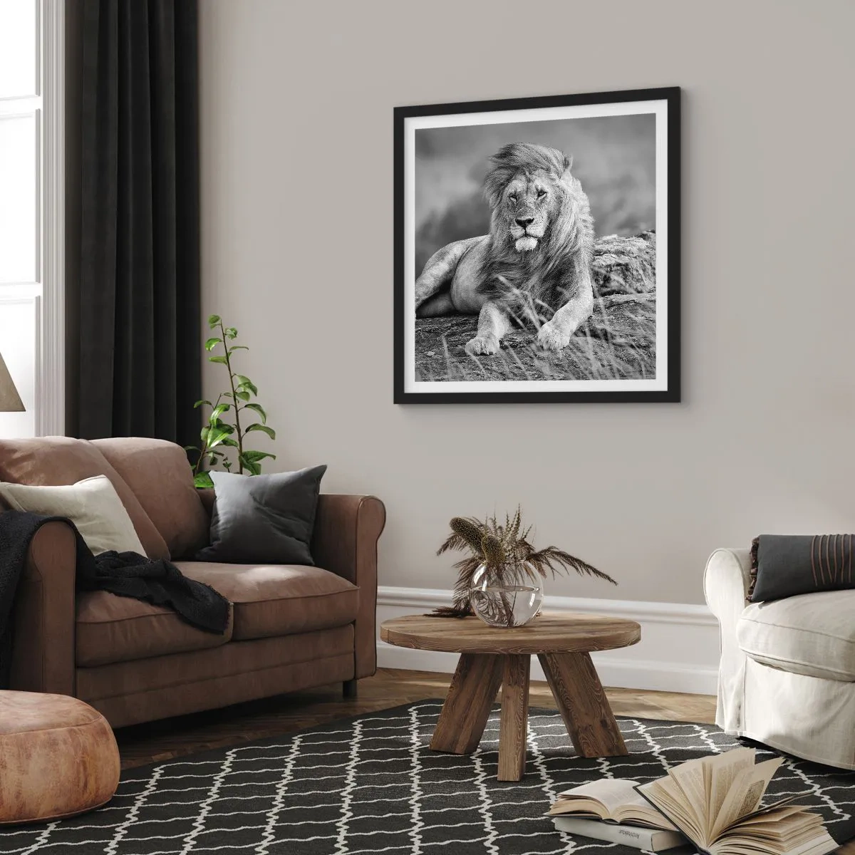 Affisch i svart ram - Kunglig siesta - 50x50 cm