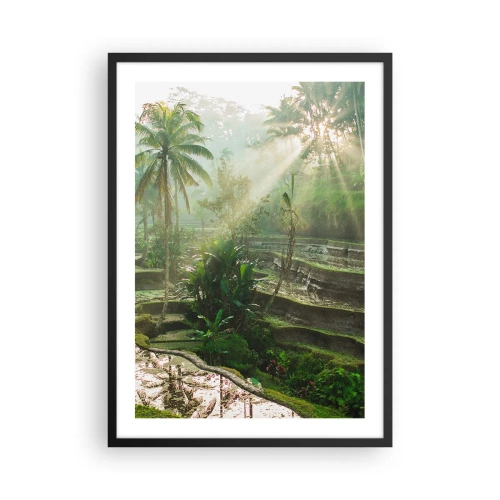 Affisch i svart ram - Tropiskt landskap med risterrasser och solsken - 50x70cm - Växa upp i solsken - Modern väggdekoration för vardagsrum och sovrum ARTTOR
