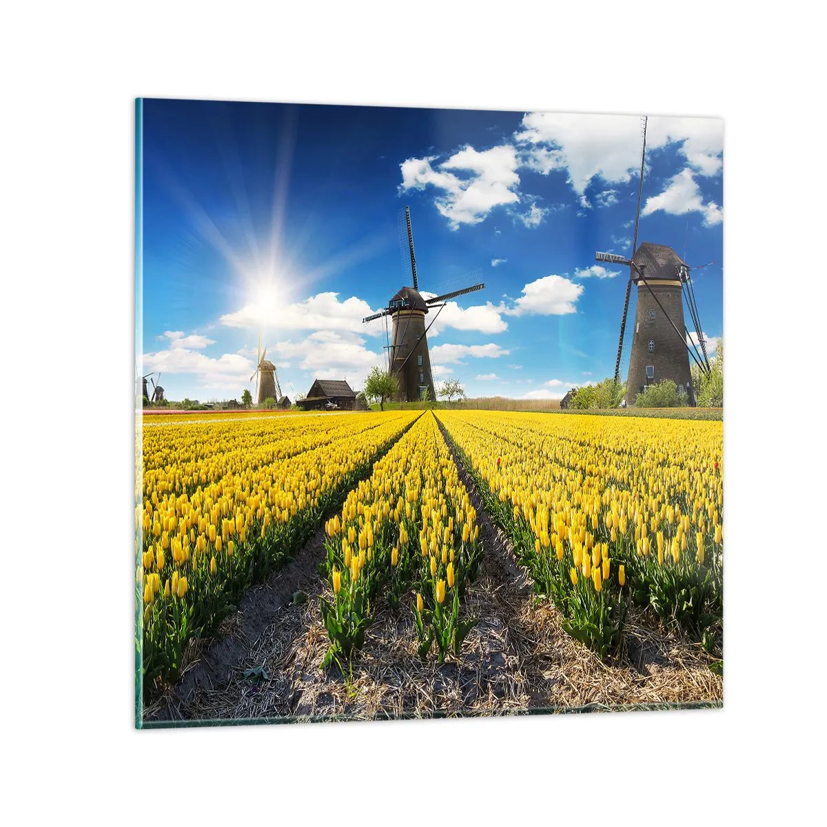 Glastavla - Bild på glas - Mer holländskt kan inte vara - 40x40 cm