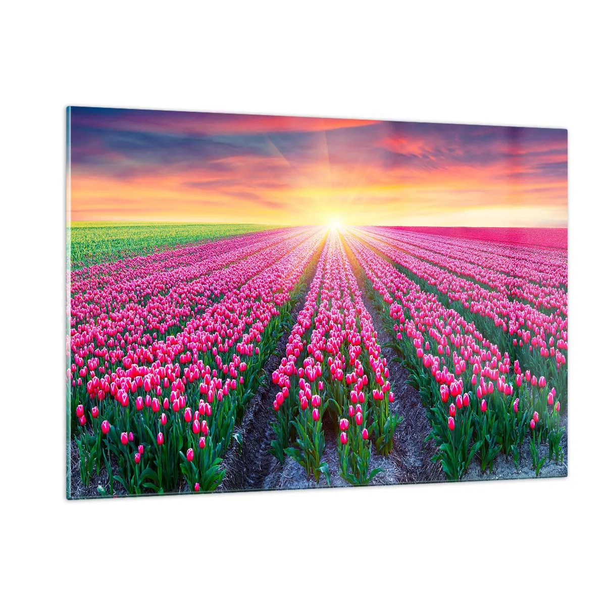 Glastavla - Bild på glas - Skönhetsfarmen - 120x80 cm