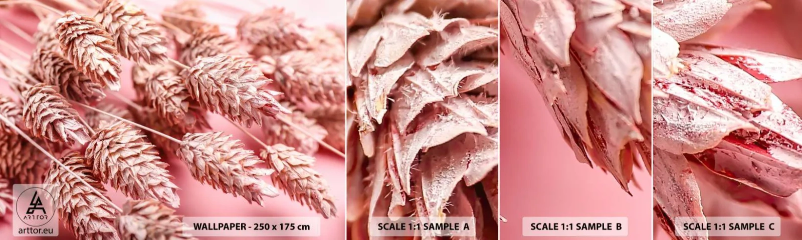 Provbit av självhäftande fototapet Deluxe Sticker - Blomkaskad i rosa - Torkade blommor, Blombukett, Blommor - 100x30 cm