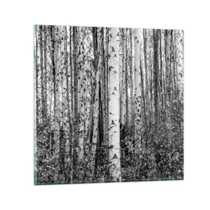 Glastavla - Bild på glas - Björkpelargång - 70x70 cm