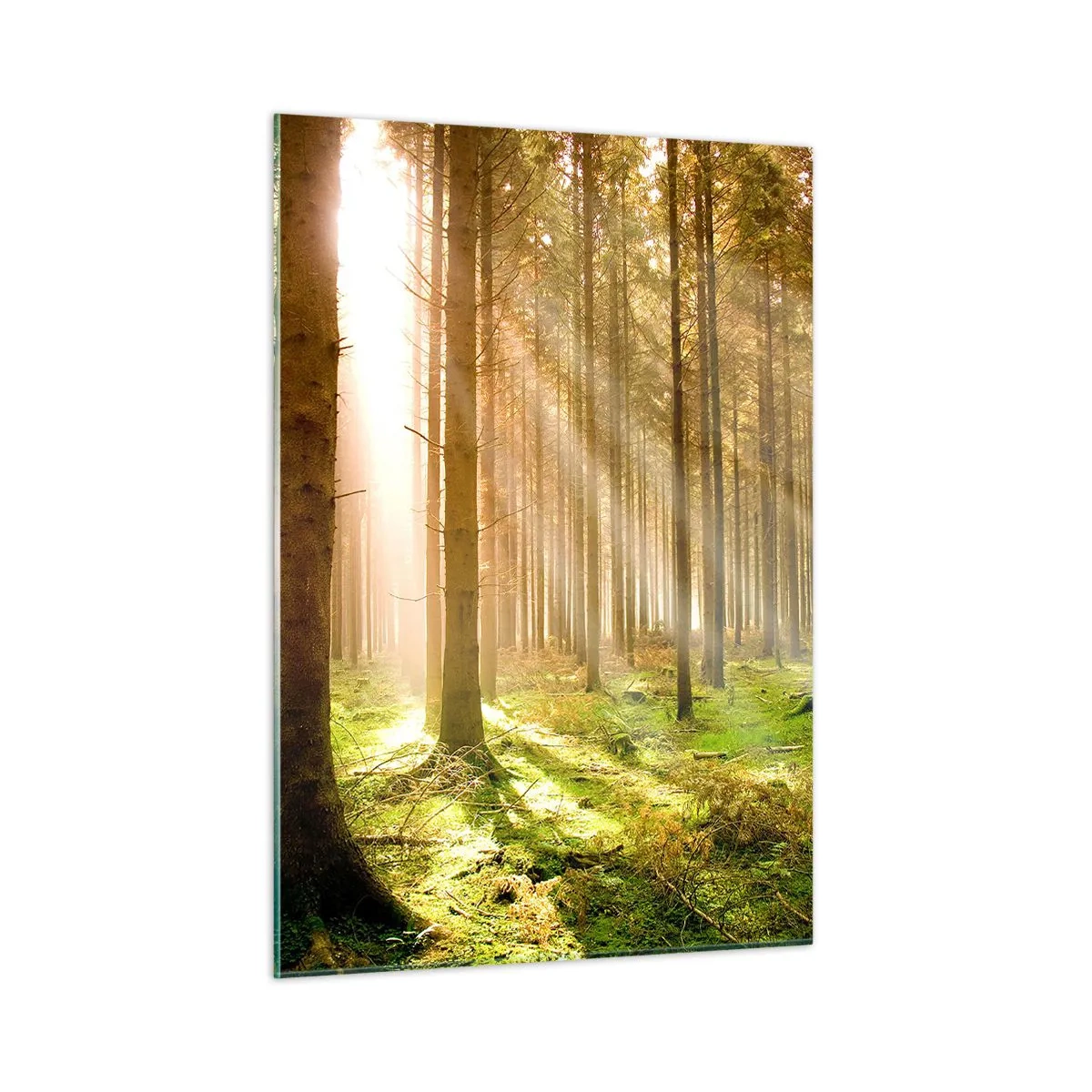 Glastavla - Bild på glas - Snart kommer alverna - 50x70 cm