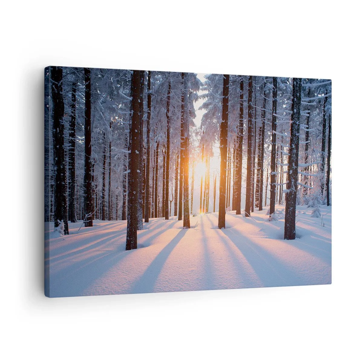 Canvastavla - Bild på duk - Vinterskog upplyst av solens strålar - 70x50cm - Tydligt svart på vitt - Modern väggdekoration för vardagsrum och sovrum ARTTOR