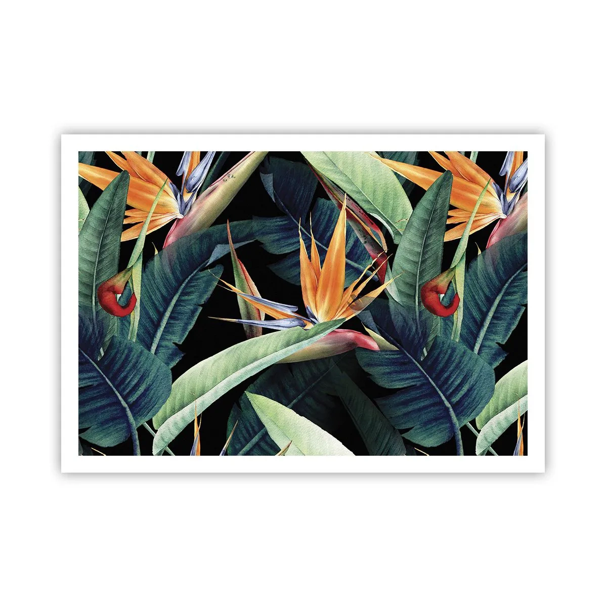 Affisch - Tropikens brinnande blommor - 100x70 cm