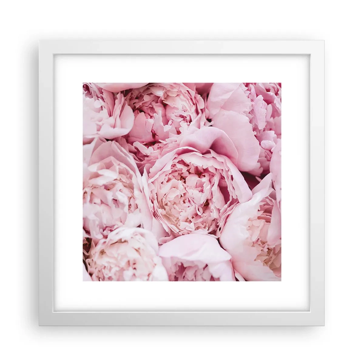 Affisch i vit ram - Hopklämda och doftande - 30x30 cm