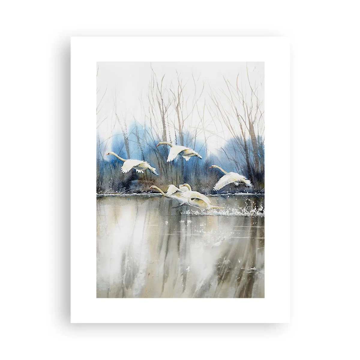 Affisch - Som i en saga om vilda svanar - 30x40 cm