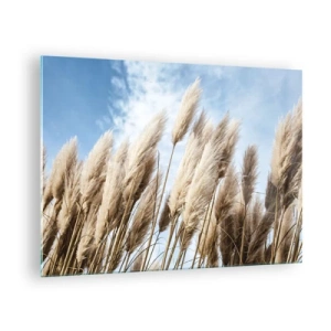 Glastavla - Bild på glas - Dekorativa pampasgräs mot en blå himmel - 70x50cm - Solig och blåsig smekning - Modern väggdekoration för vardagsrum och sovrum ARTTOR