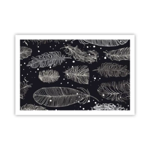 Affisch - Fjäderspets - 91x61 cm