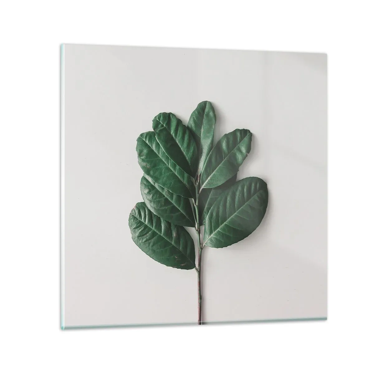 Glastavla - Bild på glas - Själva naturens bild - 40x40 cm
