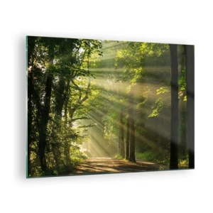 Glastavla - Bild på glas - En skogsstig upplyst av solens strålar - 70x50cm - En stund i skogen - Modern väggdekoration för vardagsrum och sovrum ARTTOR