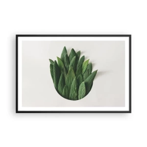 Affisch i svart ram - Ostoppbar nyfikenhet - 91x61 cm