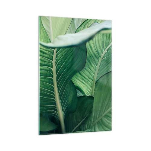 Glastavla - Bild på glas - Livet intensivt grönt - 80x120 cm