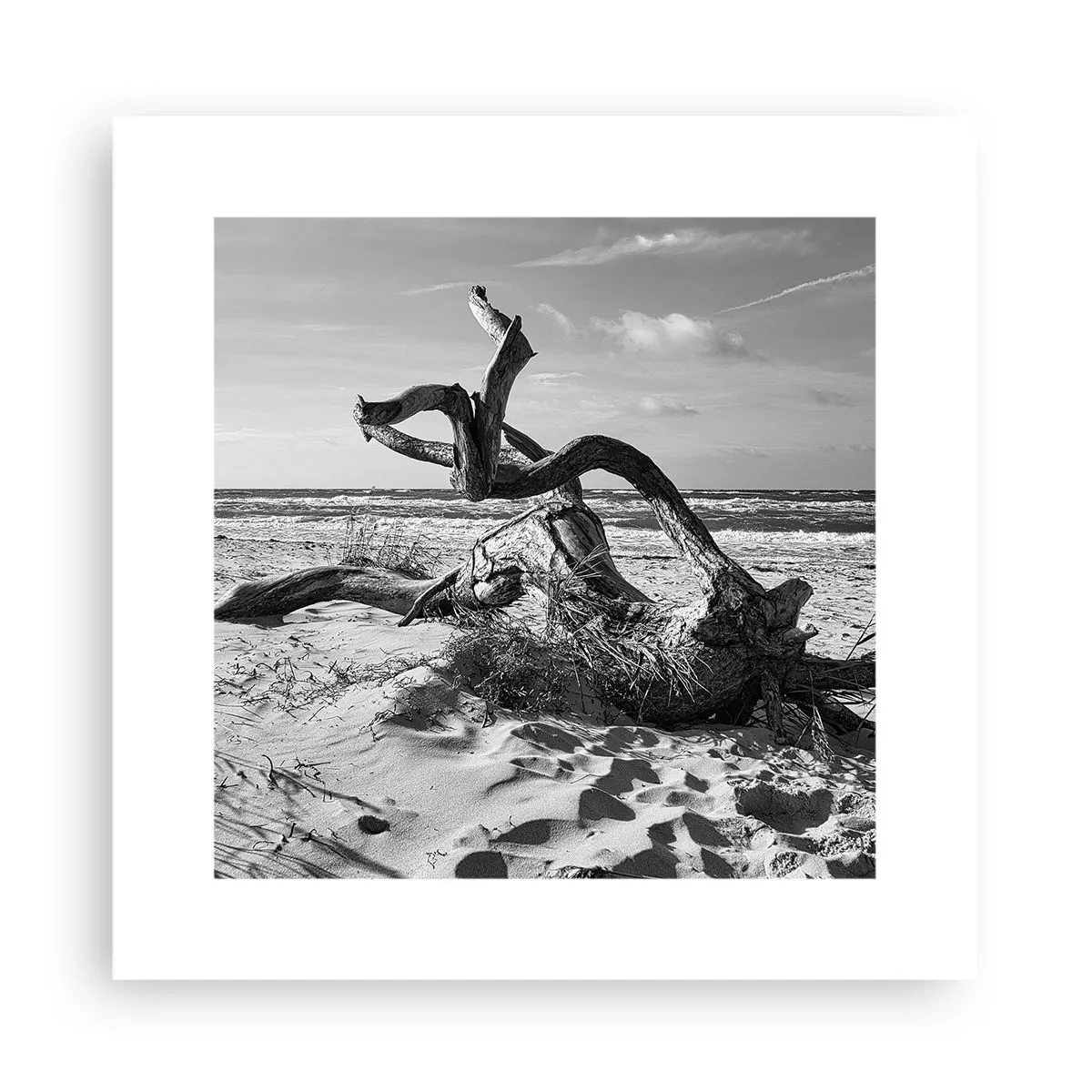 Affisch - Havets skulptur - 30x30 cm
