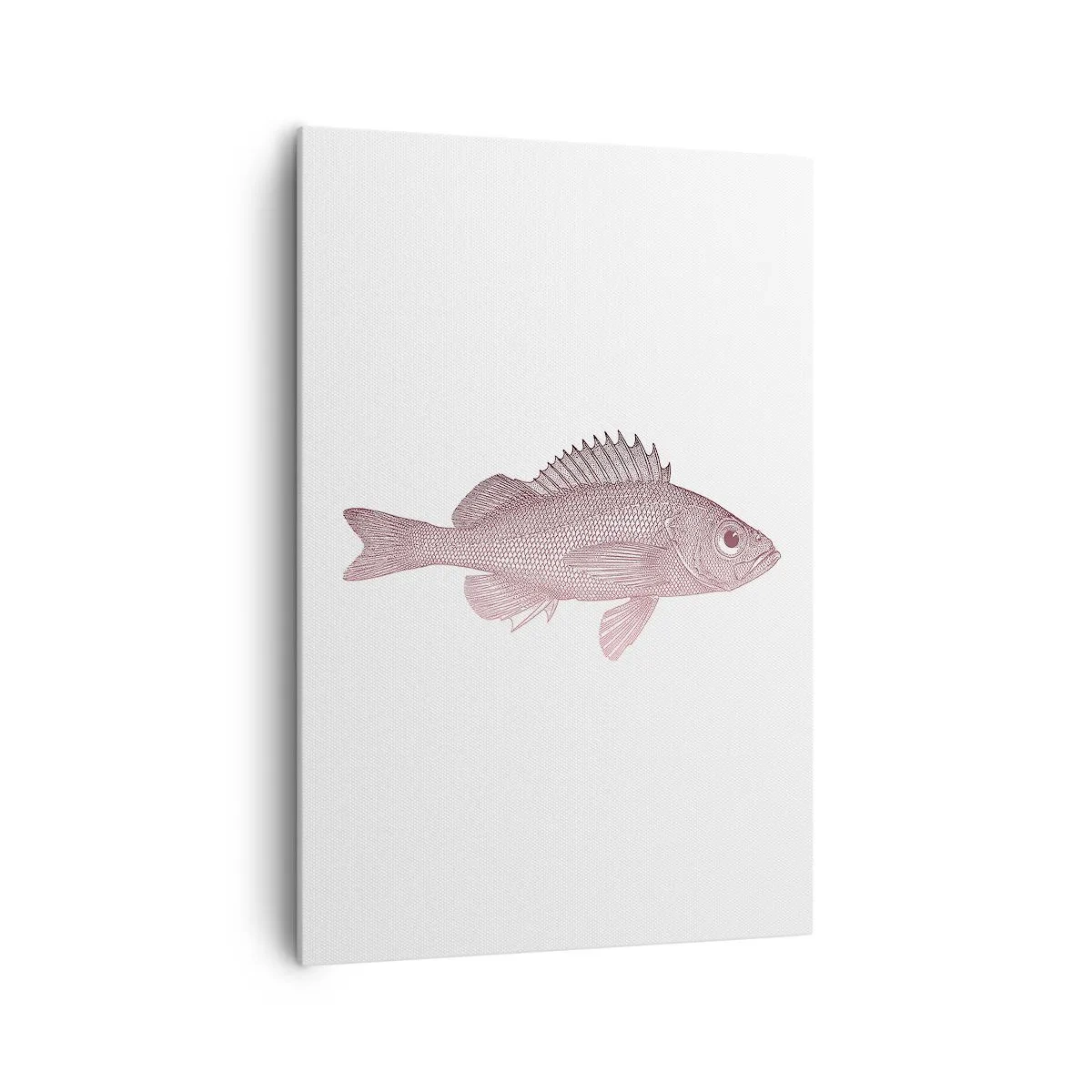 Canvastavla - Bild på duk - Storögd fisk - 70x100 cm