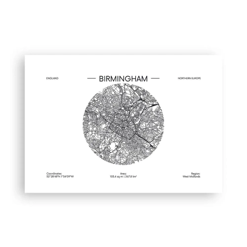Affisch - Birminghams anatomi - 100x70 cm
