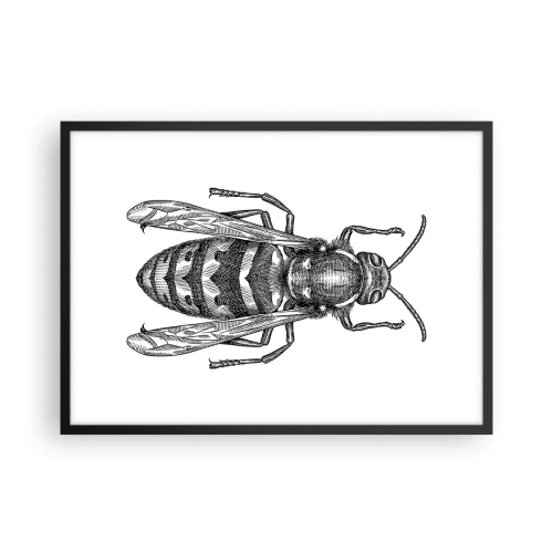 Affisch i svart ram - Från insektplaneten  - 70x50 cm