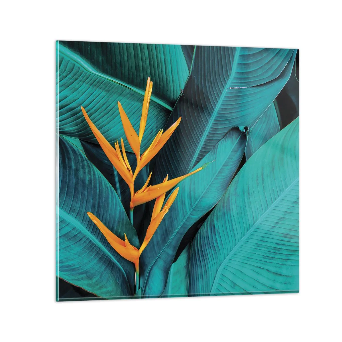 Glastavla - Bild på glas - Edens blomma - 40x40 cm