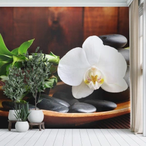 Fototapet Standard Eco - Bli berörd av naturen - Blommor, Orkide, Orkide - 150x105 cm