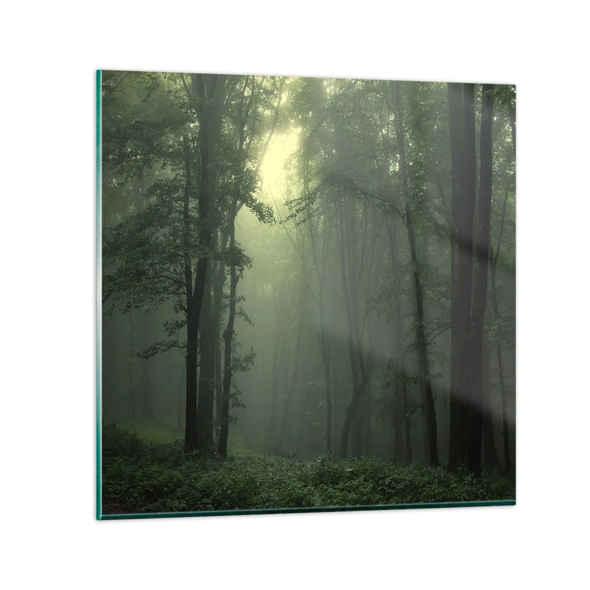 Glastavla - Bild på glas - Innan skogen vaknar - 50x50 cm